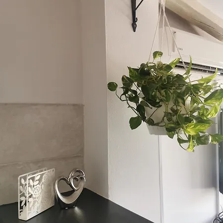 Apartman Katy